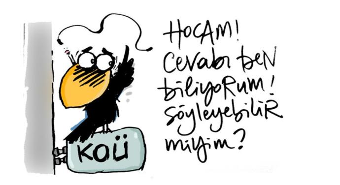 Kargalar neden taş atar?