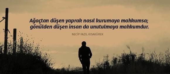 Ağaçtan düşen yaprak nasıl kurumaya mahkumsa, gönülden düşen insan da unutulmaya mahkumdur! Gönlünüzden düşen birileri var mı?