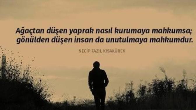 Ağaçtan düşen yaprak nasıl kurumaya mahkumsa, gönülden düşen insan da unutulmaya mahkumdur! Gönlünüzden düşen birileri var mı?