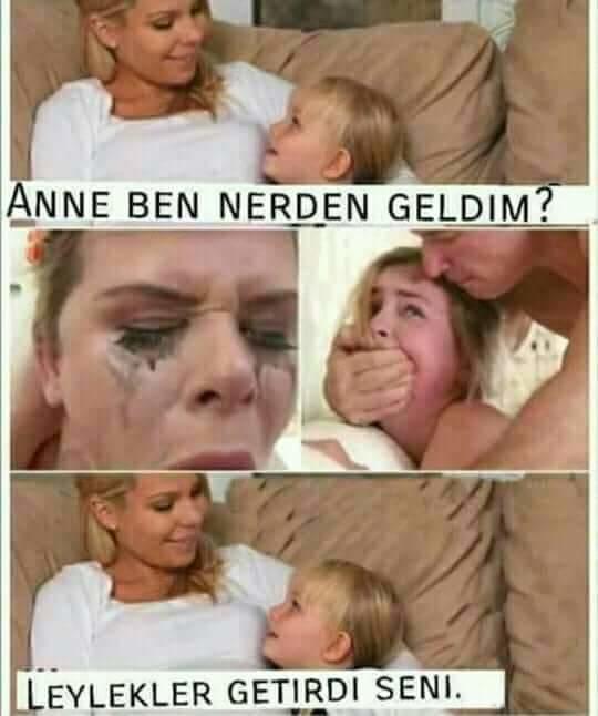 Bebekler nerden gelir :) ?