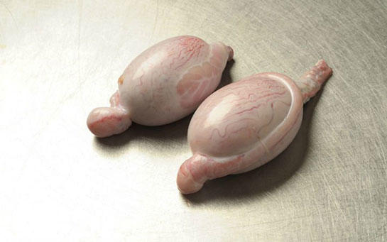 Daha önce koç yumurtası yediniz mi? Koç yumurtasının faydalarını biliyor musunuz?