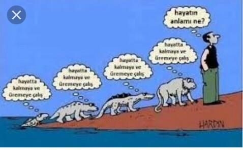 Hayatın anlamı nedir?