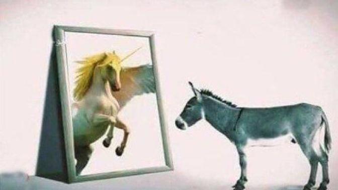 Atı kıskandırmak için eşeğe biner misiniz?