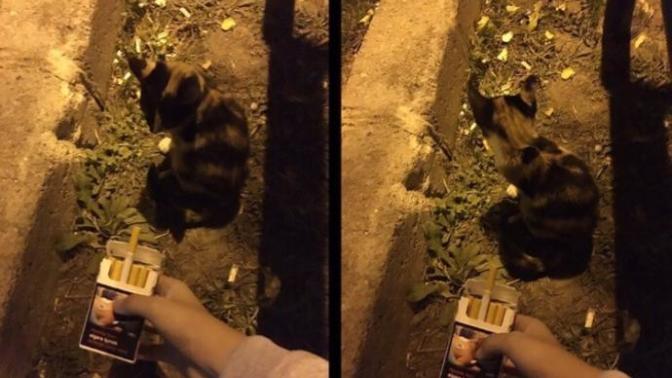 İkramları hiç geri çevirdiğiniz olur mu?