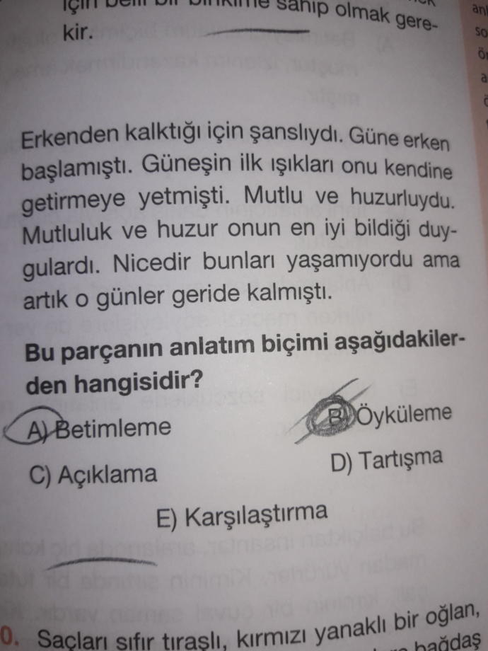 Arkadaşlar bu nasıl betimleme olur? Biriniz anlatın?