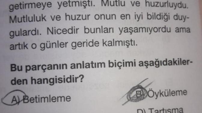 Arkadaşlar bu nasıl betimleme olur? Biriniz anlatın?