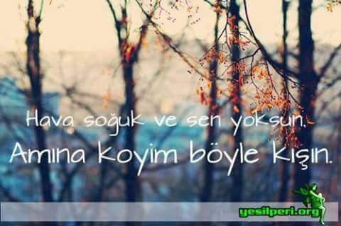 Dünyanın en güzel gönül alma kelimesi sizce nedir?