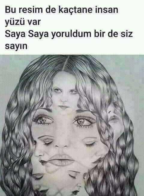 Bu resimde kac yüz var  bir  sayin yaa ben cikamadim icinde?
