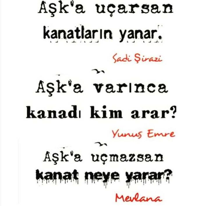 Aşka uçmazsan kanat neye yarar??