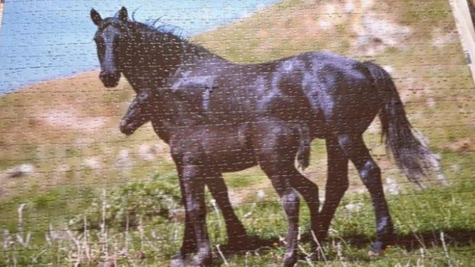 Puzzle yapmayı sever misiniz?