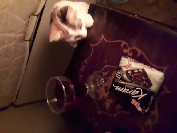 Bir sise sarap içtim noluur sizce??