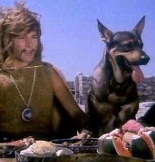 Türk televizyonlarının en unutulmaz köpek karakteri hangisi?