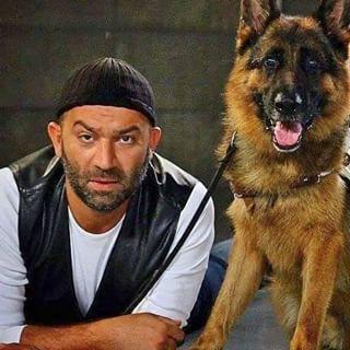 Türk televizyonlarının en unutulmaz köpek karakteri hangisi?