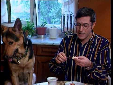 Türk televizyonlarının en unutulmaz köpek karakteri hangisi?