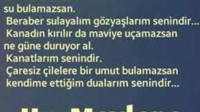 Siz hiç, birini tüm olumsuzluklara rağmen sevdiniz mi? Koşulsuz, riyasız , menfaatsiz , teslim oldunuz mu aşka?