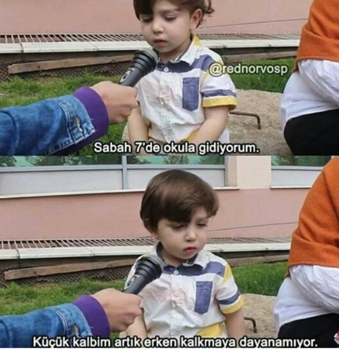 Seni sabahın köründe uyandıran eğitim sisteminin Allah belasını versin.Çok tatlı değil mi ya 😍 ?