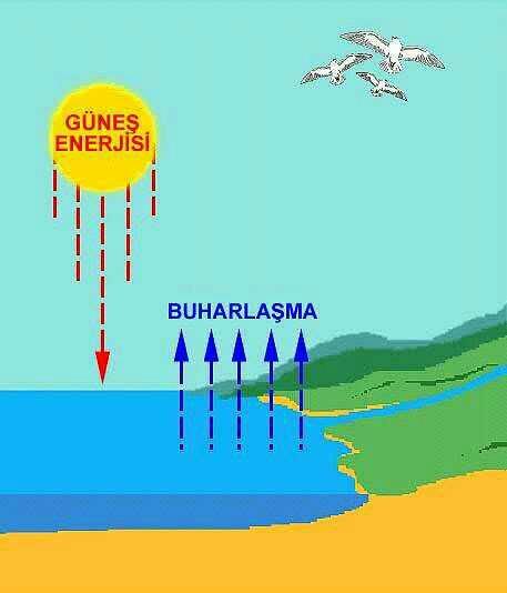 İnsanların %72'si su olduğuna göre neden ateşle buharlaşmayız??