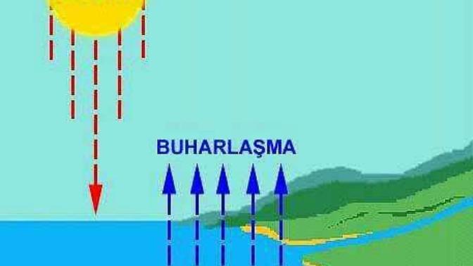 İnsanların %72'si su olduğuna göre neden ateşle buharlaşmayız?