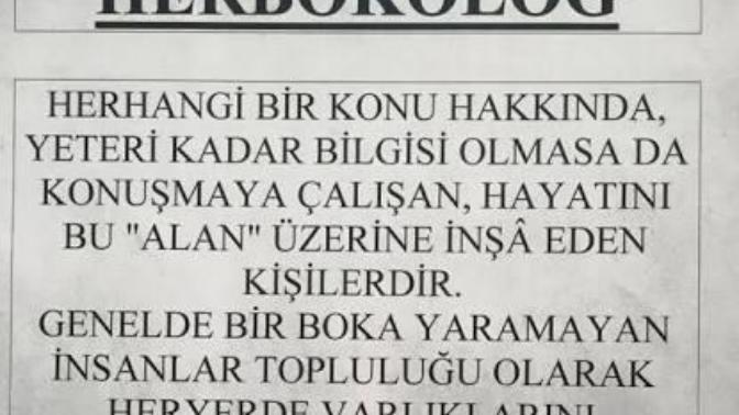Kendini bir b*k sanan insanlara ne cevap verirsiniz?