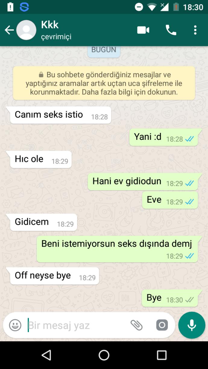 Sevdigim insanın bana dediğine bakın sizce bu ne demek(RESİMLİ)?