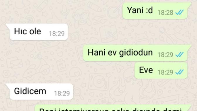 Sevdigim insanın bana dediğine bakın sizce bu ne demek (RESİMLİ)?