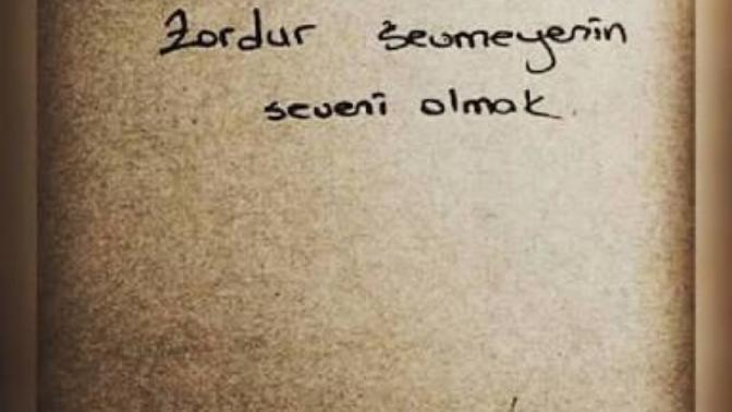 '' Zordur Sevmeyenin Seveni Olmak'' Sözü Hakkında Ne düşünüyorsunuz? Sizce Doğru Mu?