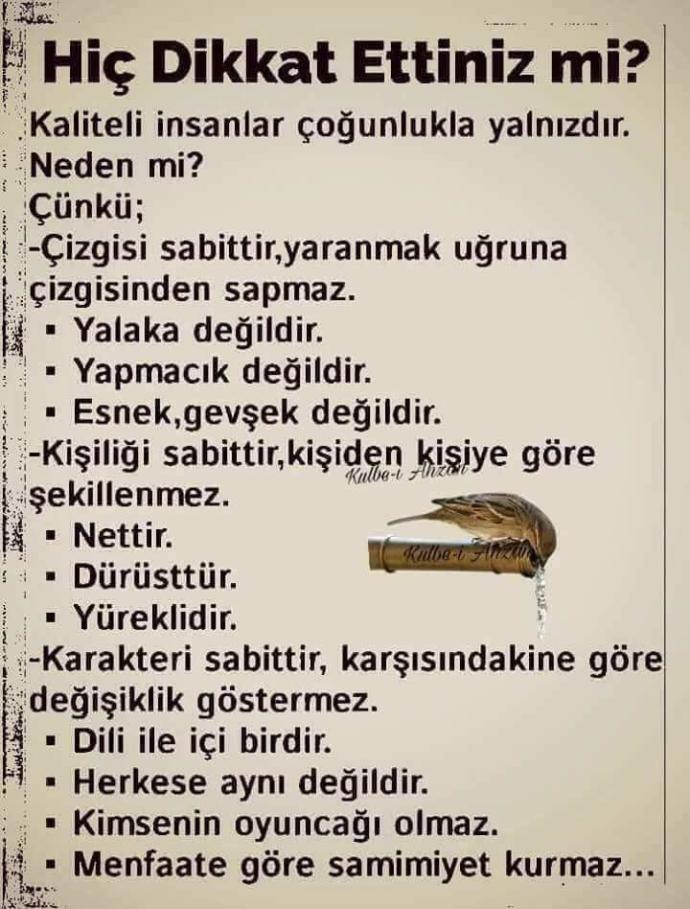 Hiç dikkat ettiniz mi?