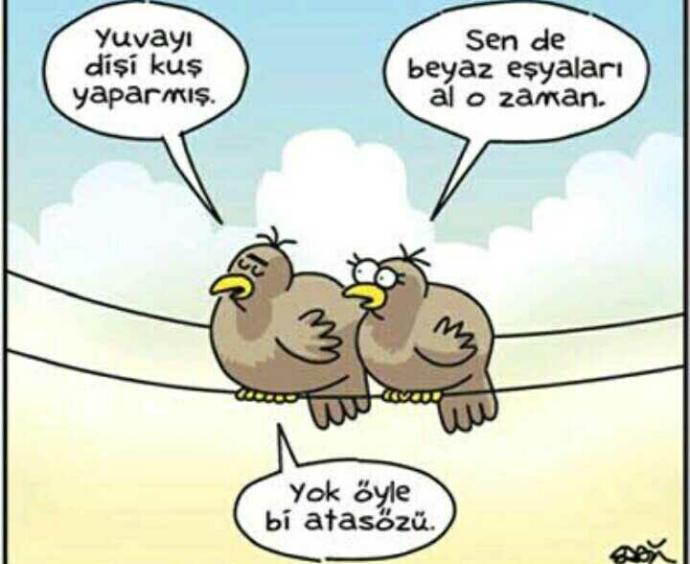 Yuvayı dişi kuş mu yapar erkek kuş mu??