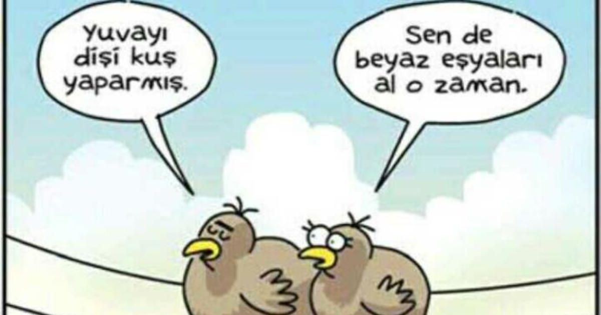 Yuvayı Dişi Kuş mu Yapar Yuvayı Dişi Kuş mu Yapar