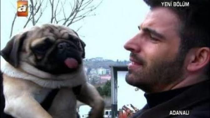 Bu köpeğin cinsi ne la❤?