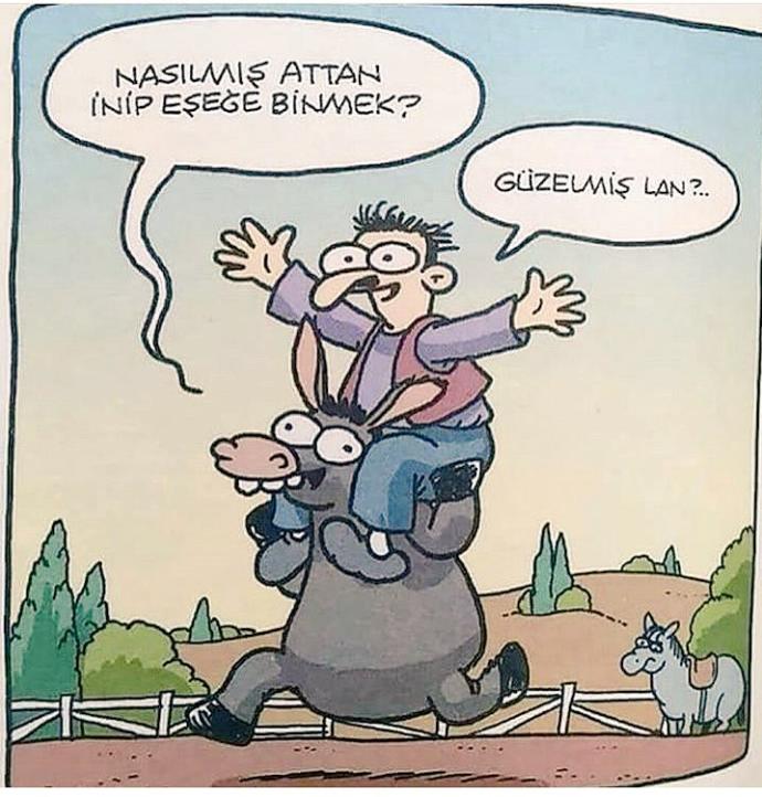 Siz hiç attan inip eşeğe bindiniz mi?