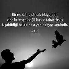 Kanat mı kelepçe mi???