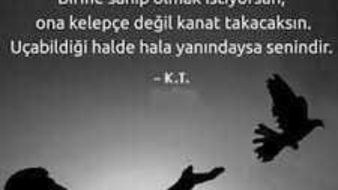 Kanat mı kelepçe mi?