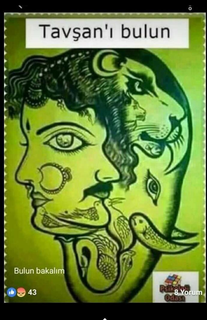 Tavşanı Bulun 😂😂??