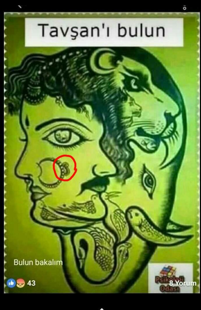 Tavşanı Bulun 😂😂?