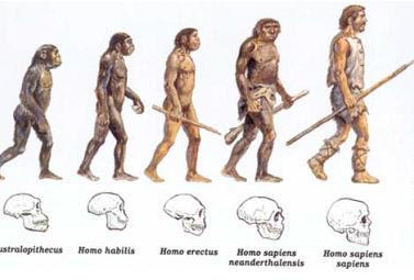Maymunlar ya da Homo Sapiensler dinazorlar caginda var miydi?
