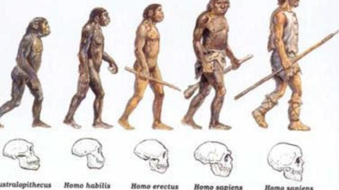Maymunlar  ya da  Homo Sapiensler dinazorlar caginda var miydi?