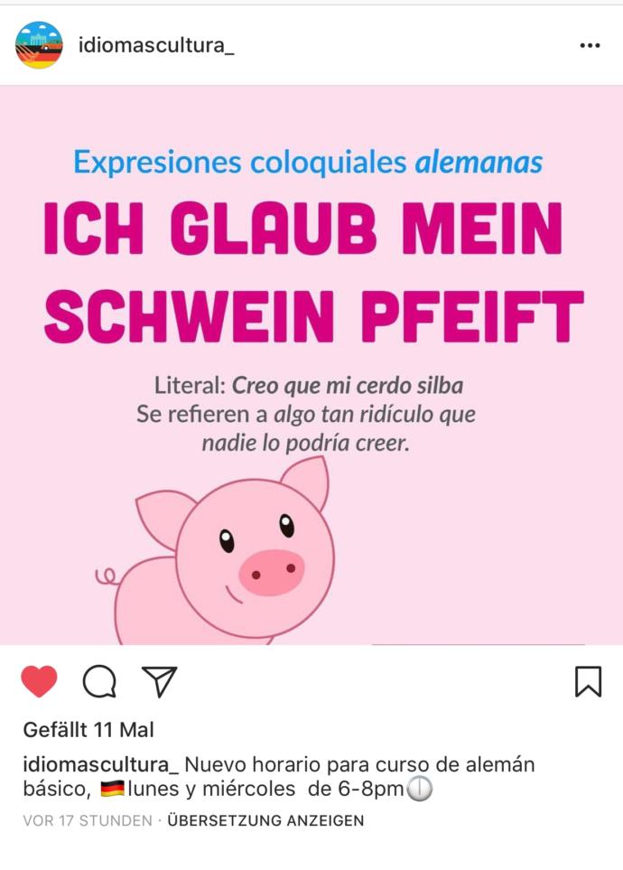 Sizin de domuzunuz ıslık çalıyor mu?