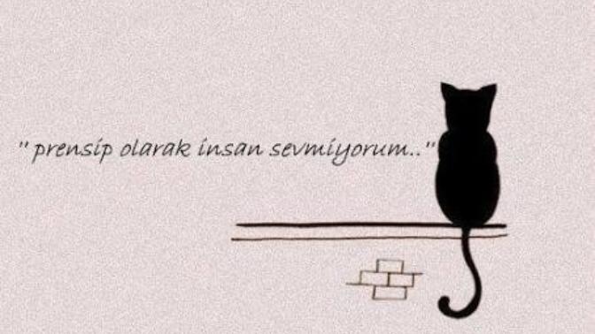 "Prensip olarak insan sevmiyorum " Peki senin hayatında prensiplerin var mı?