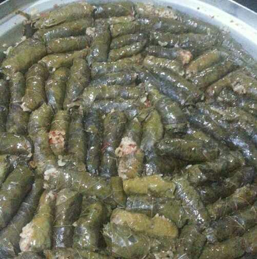 Hamaratlığım tuttu😁😂😄??