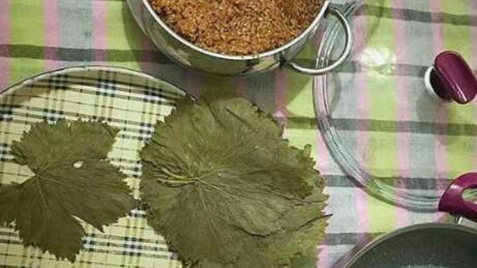 Hamaratlığım tuttu😁😂😄?