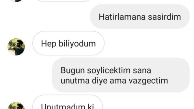 Eski sevgilim dun gece saat1de mesaj atti resimli?