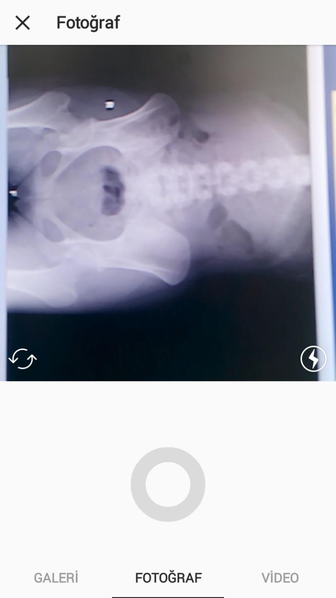 Röntgen okuyabilen doktor var mı?