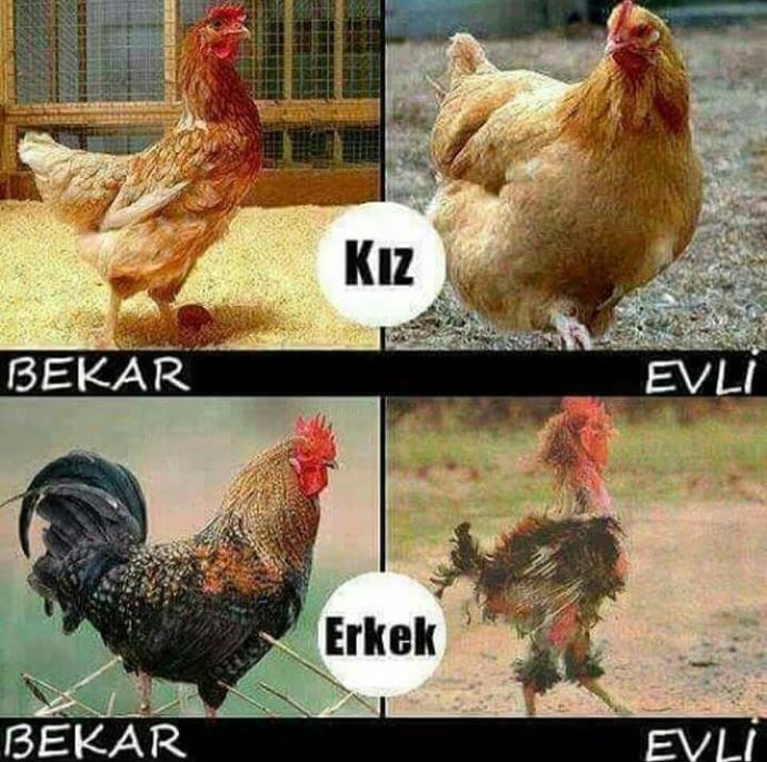 Bu dogru mu sizce 😆😆👣👽🔵?