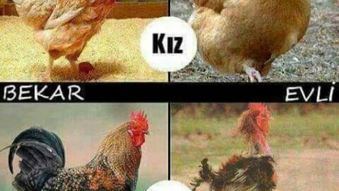 Bu dogru mu sizce 😆😆👣👽🔵?