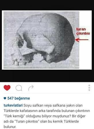 TÜRK MÜSÜNÜZ :)?