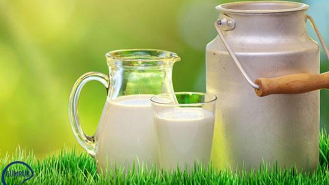 Günlük sütlerin tadı niye değişik?