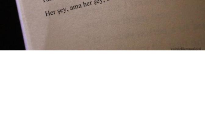 Güzel sevmek mi daha önemlidir çok sevmek mi?
