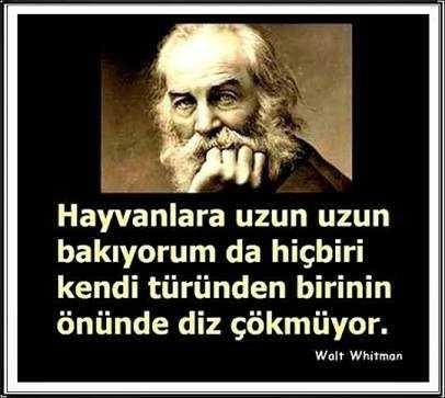 Teslimiyet nedir? Teslimiyet denilince ilk aklınıza gelen ne?