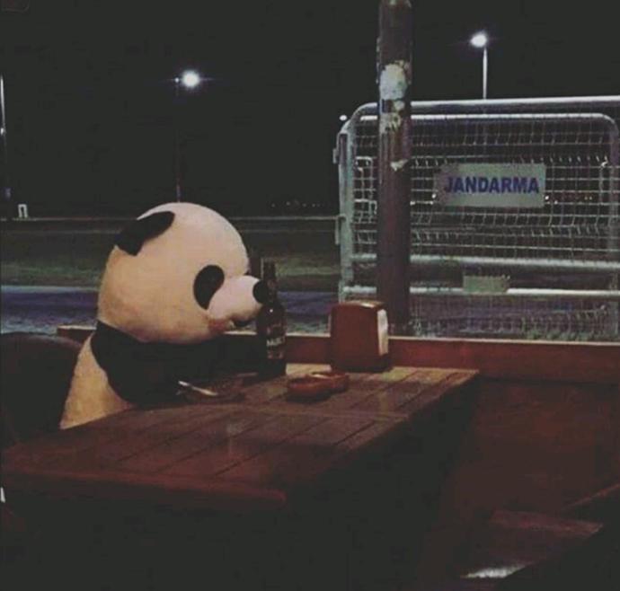 (Resimli) küçük panda'nın psikolojisi bozuldu (eski sevgilim) ne yapabilirim?